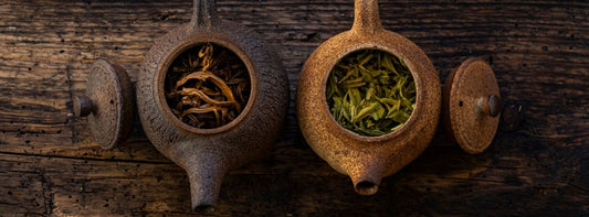 Exploring the World of Green Tea